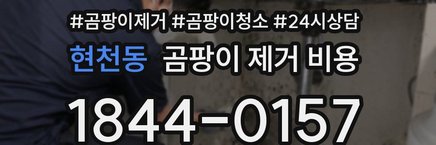 현천동 곰팡이 제거 비용