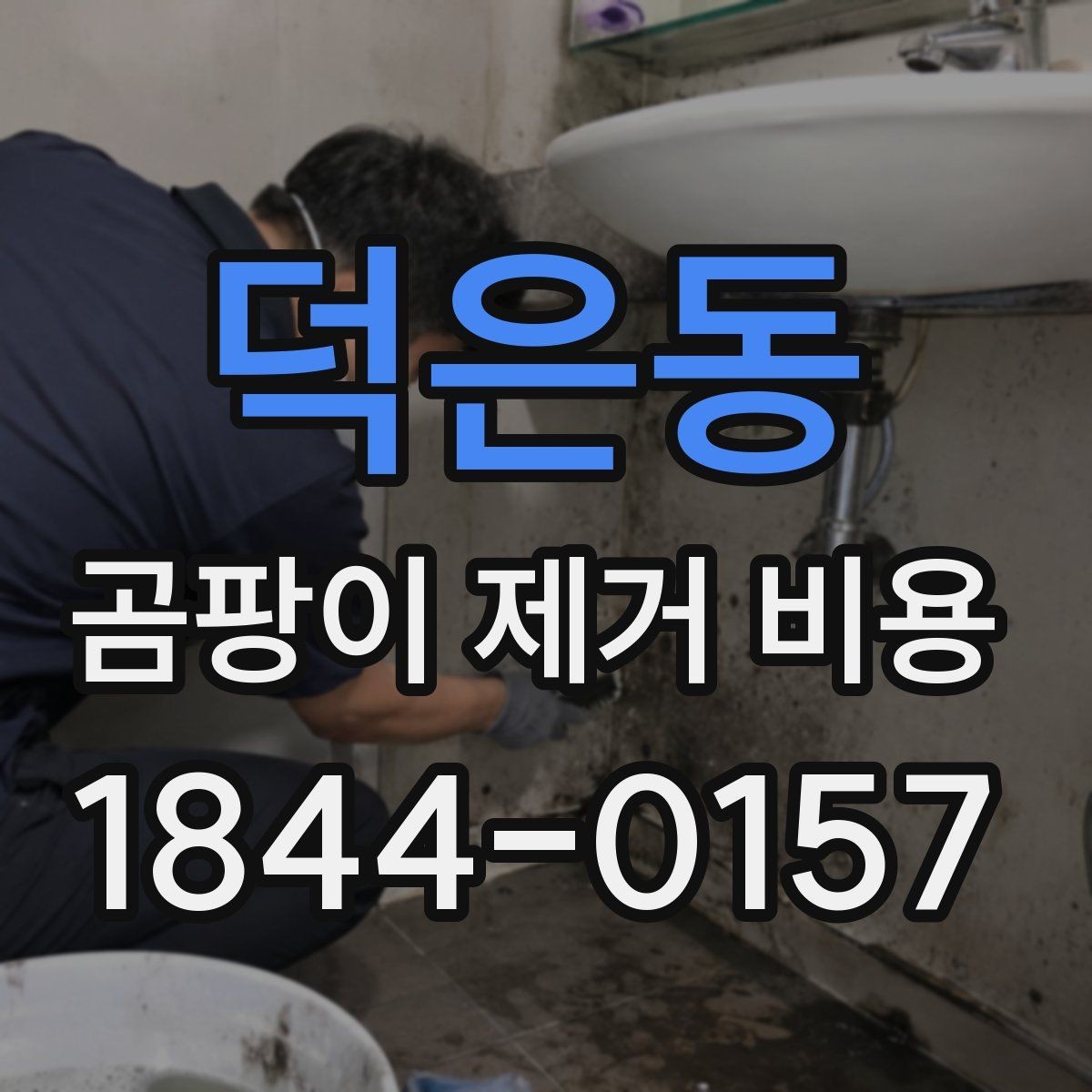 덕은동 곰팡이 제거 비용 원룸과 아파트에서 차이가 생기는 배경
