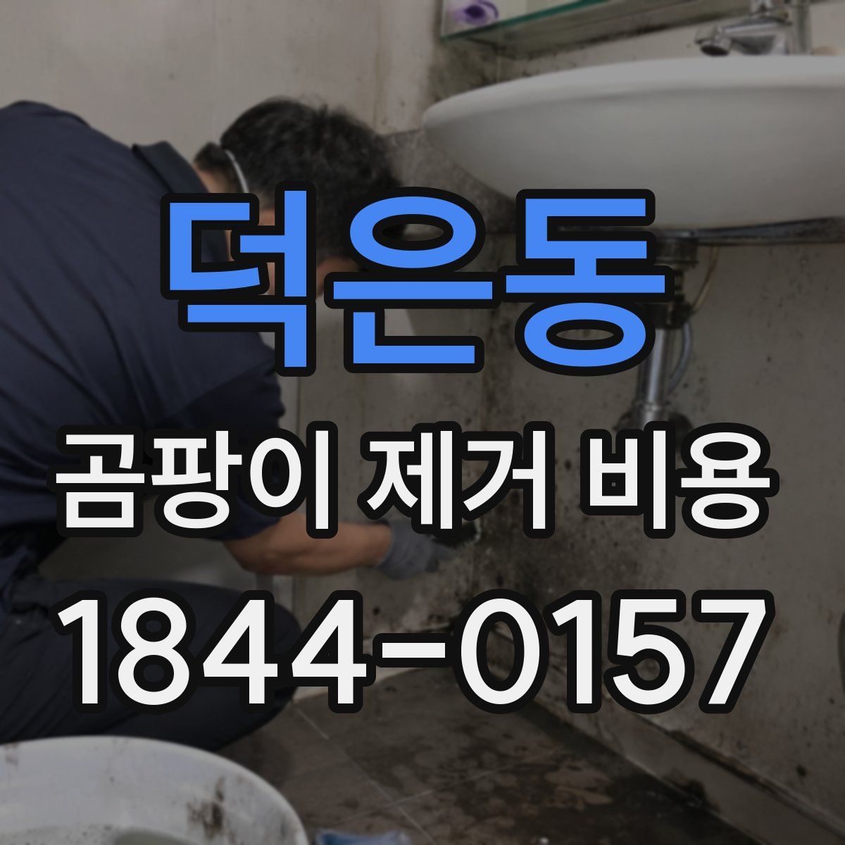 덕은동 곰팡이 제거 비용