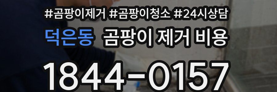 덕은동 곰팡이 제거 비용