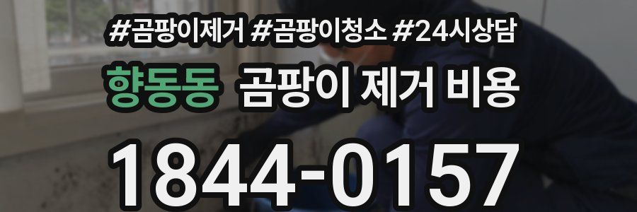 향동동 곰팡이 제거 비용