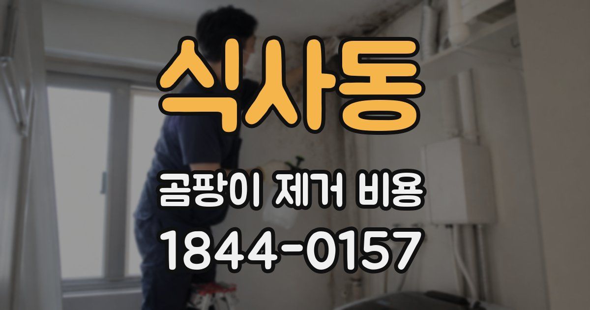 식사동 곰팡이 제거 비용