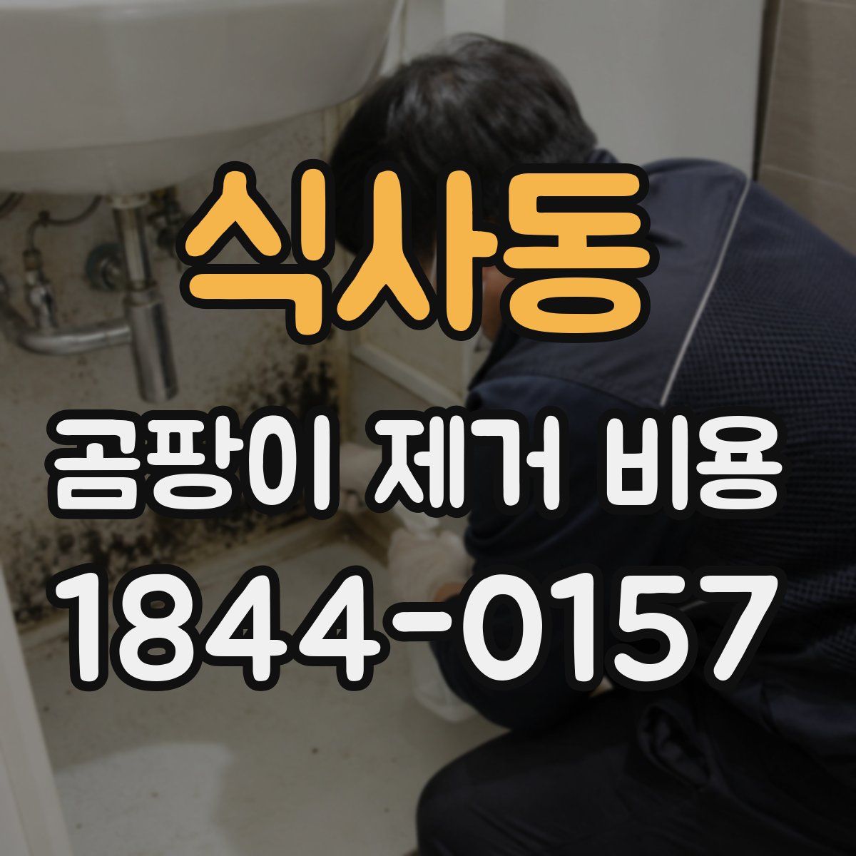 식사동 곰팡이 제거 비용