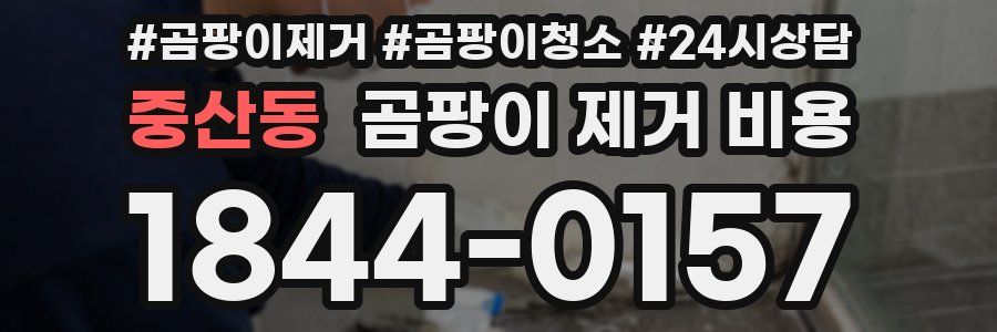 중산동 곰팡이 제거 비용