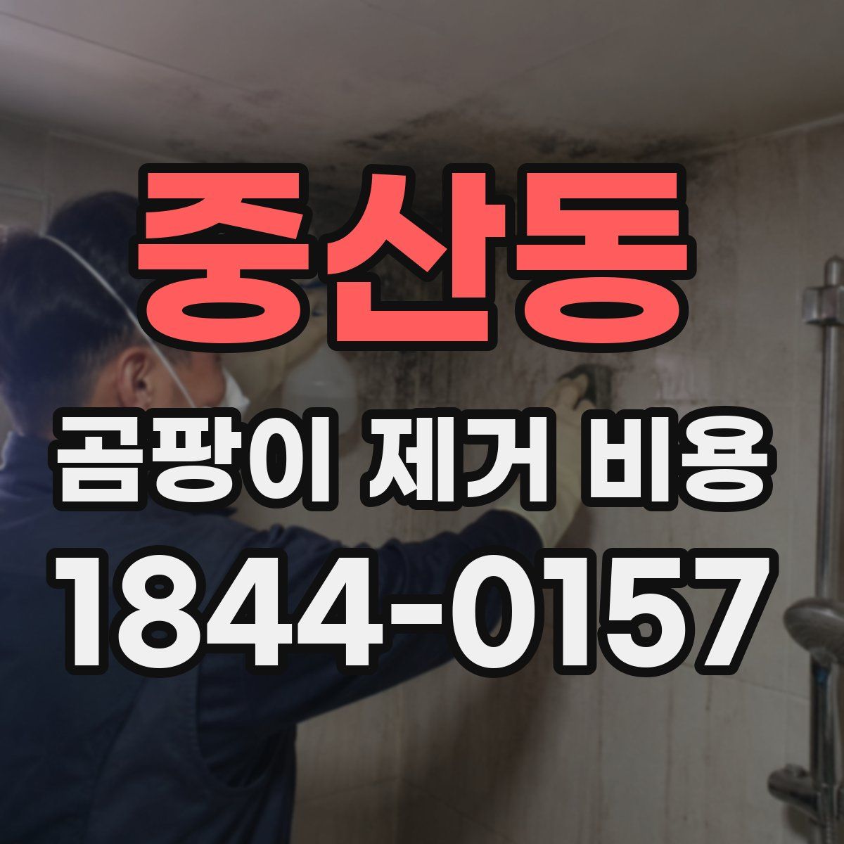 중산동 곰팡이 제거 비용