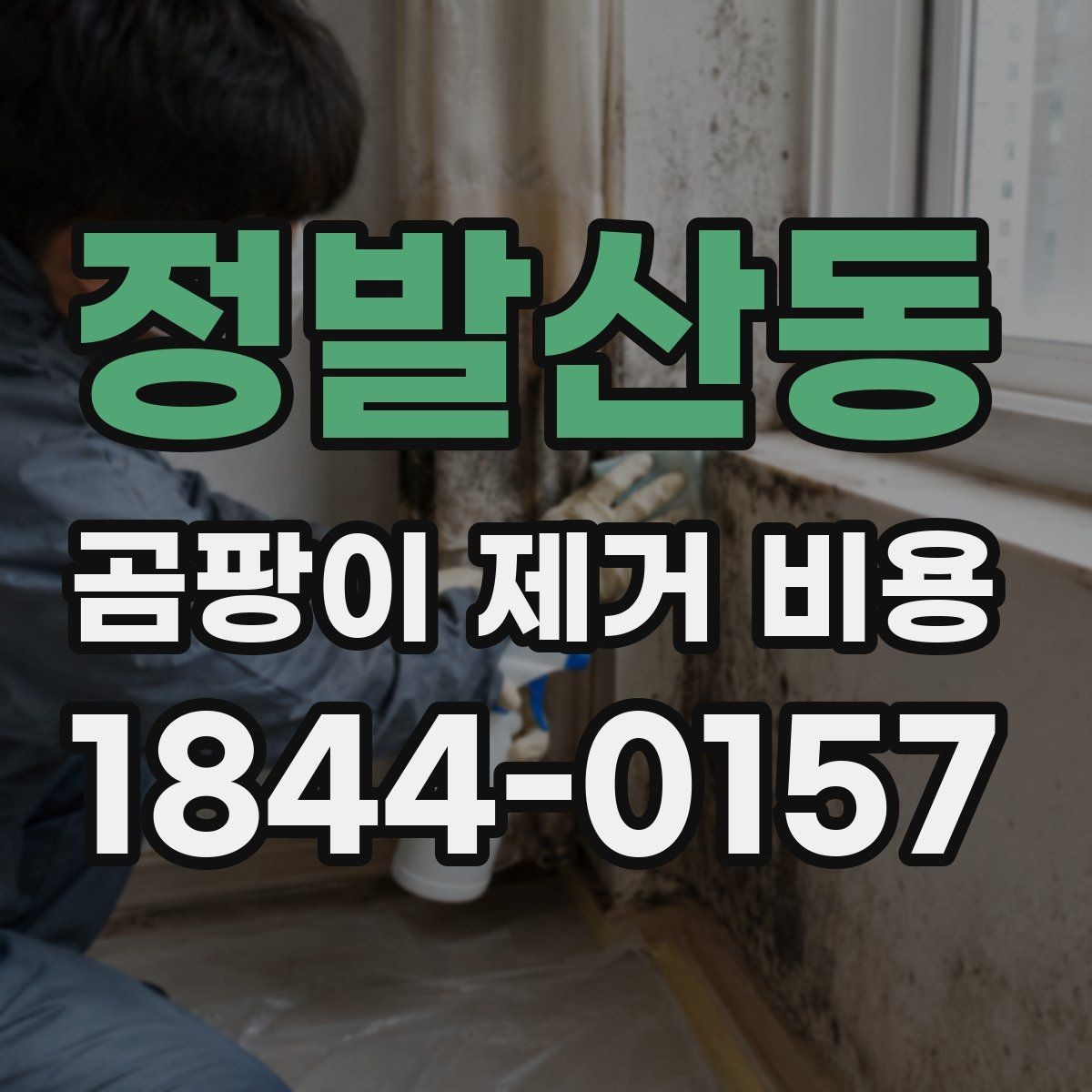 정발산동 곰팡이 제거 비용 항균 코팅이 필요한 집의 공통 특징