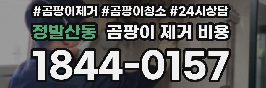 정발산동 곰팡이 제거 비용