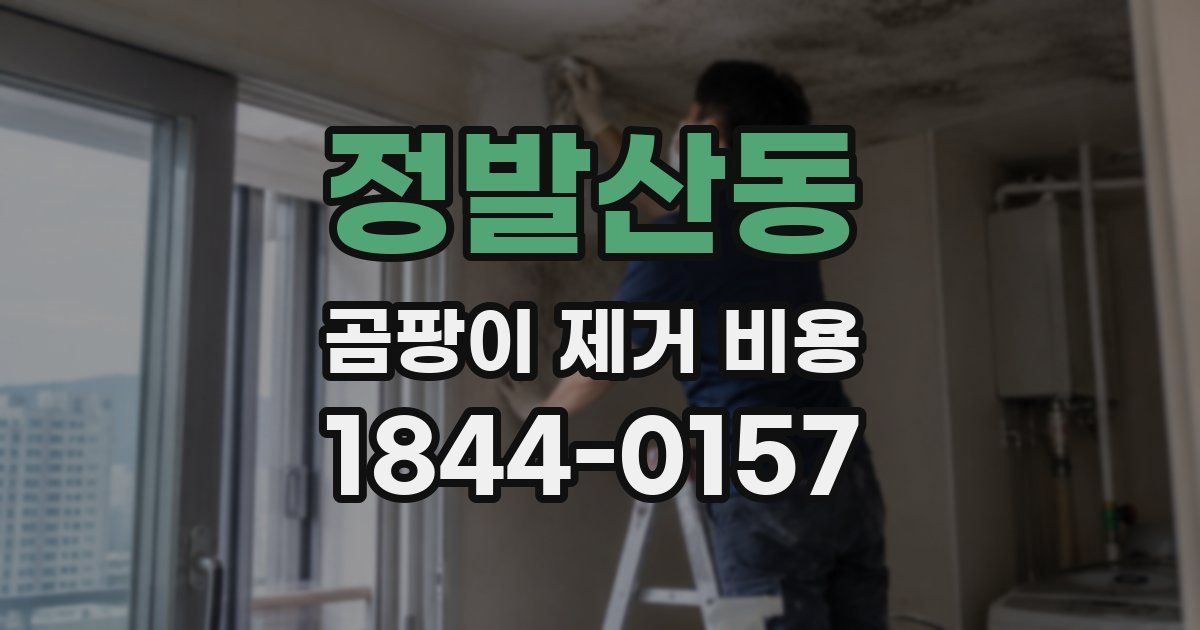 정발산동 곰팡이 제거 비용