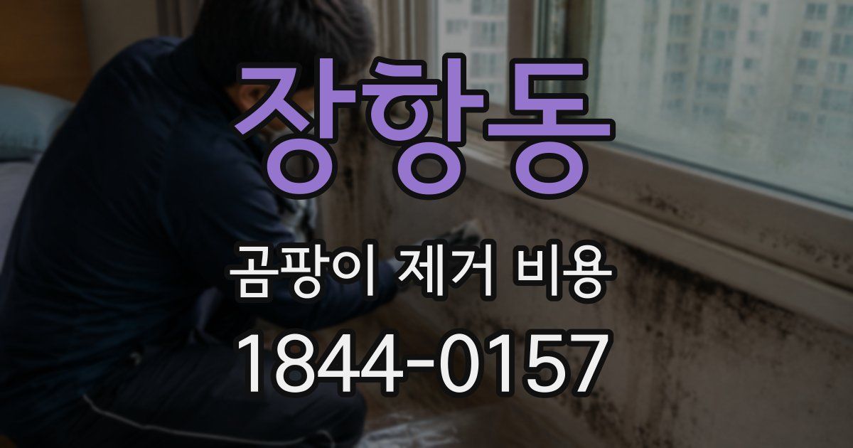 장항동 곰팡이 제거 비용