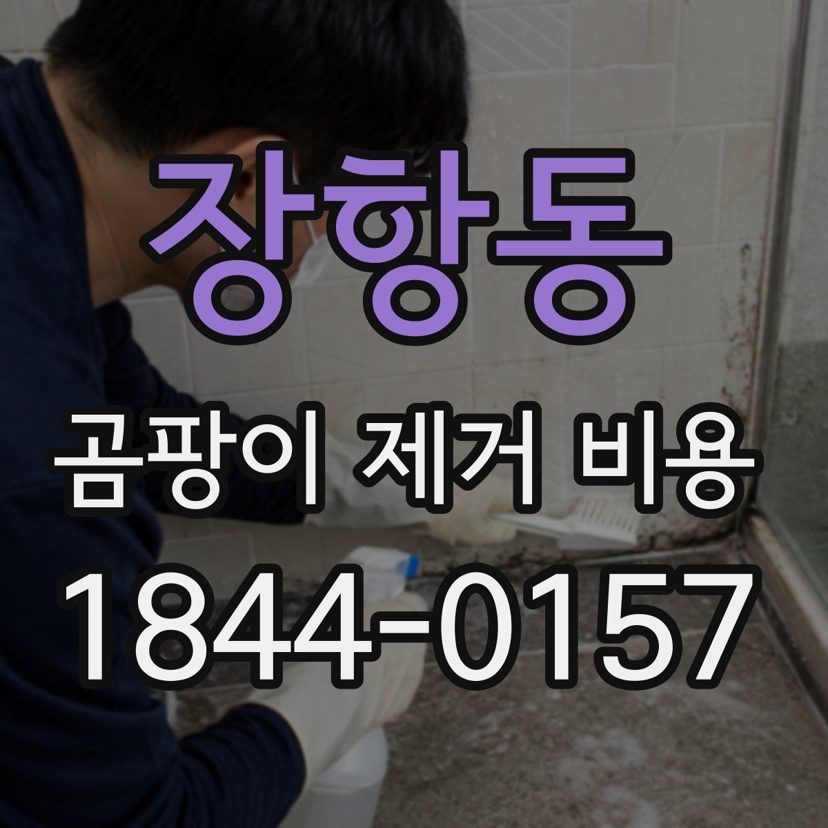 장항동 곰팡이 제거 비용
