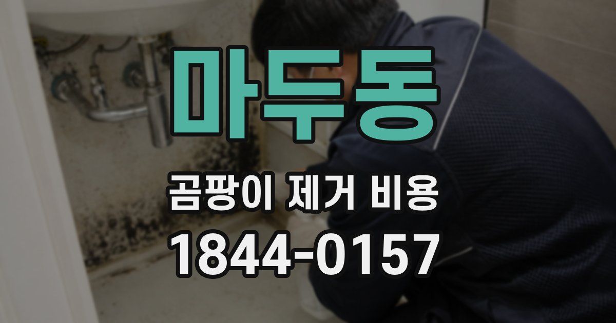 마두동 곰팡이 제거 비용