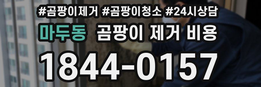 마두동 곰팡이 제거 비용
