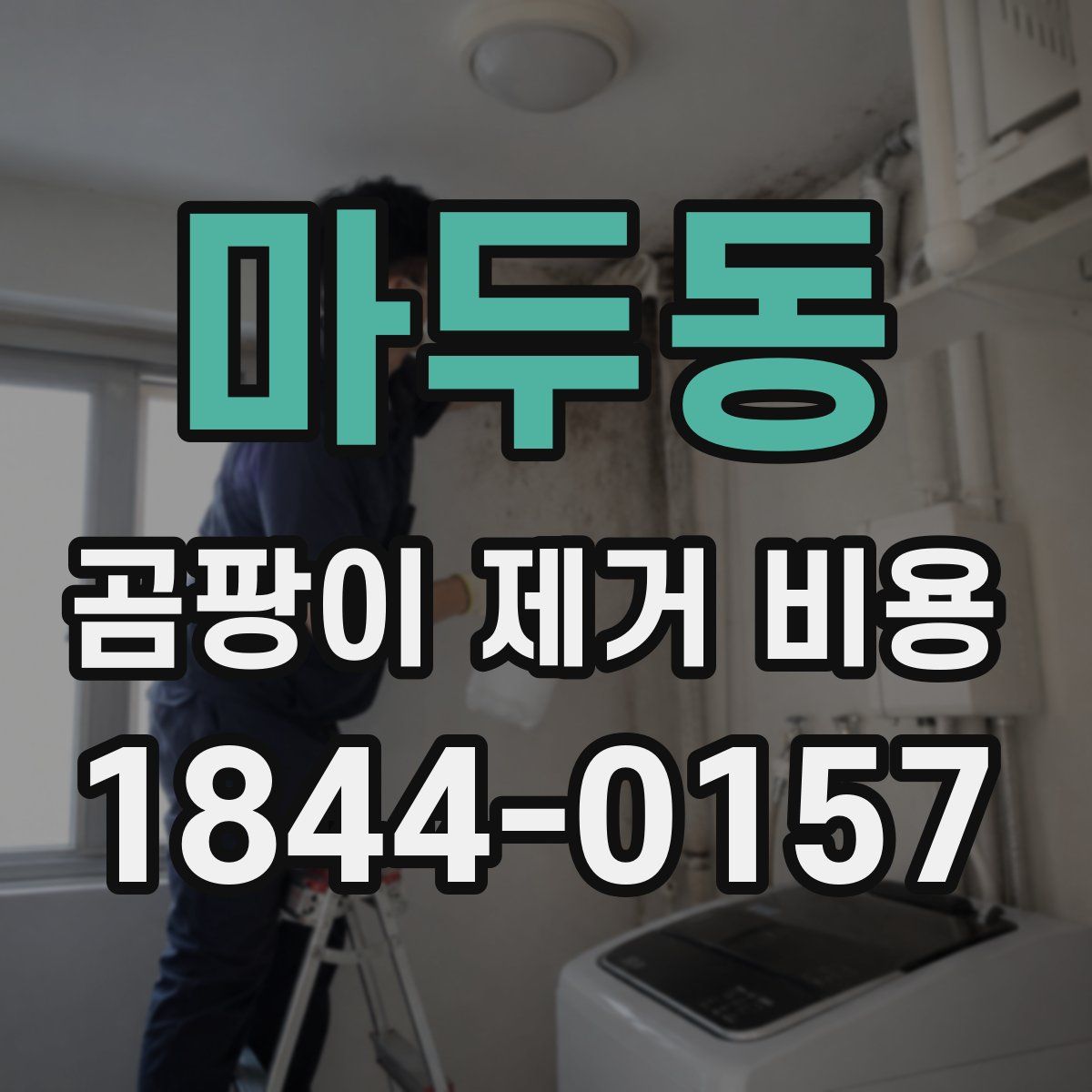마두동 곰팡이 제거 비용