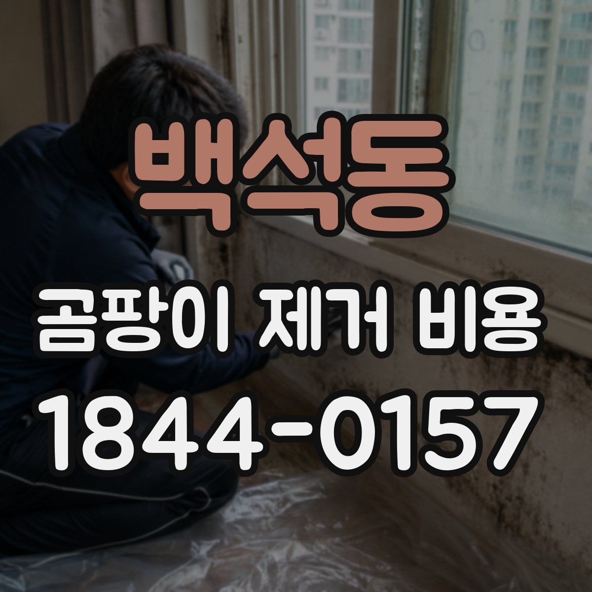 백석동 곰팡이 제거 비용