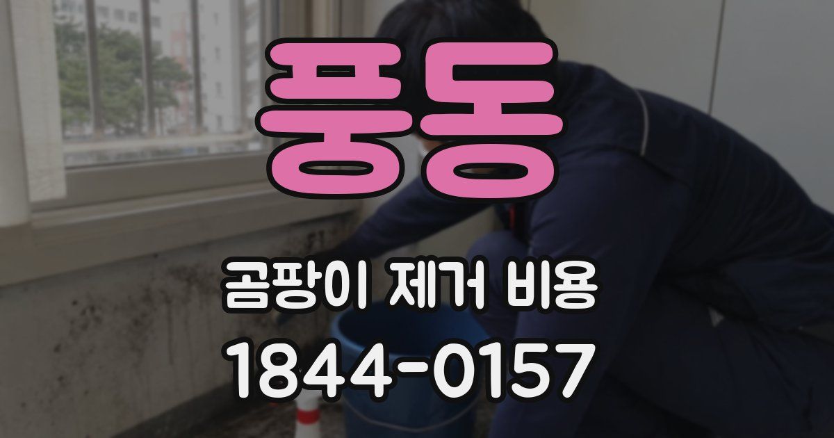 풍동 곰팡이 제거 비용