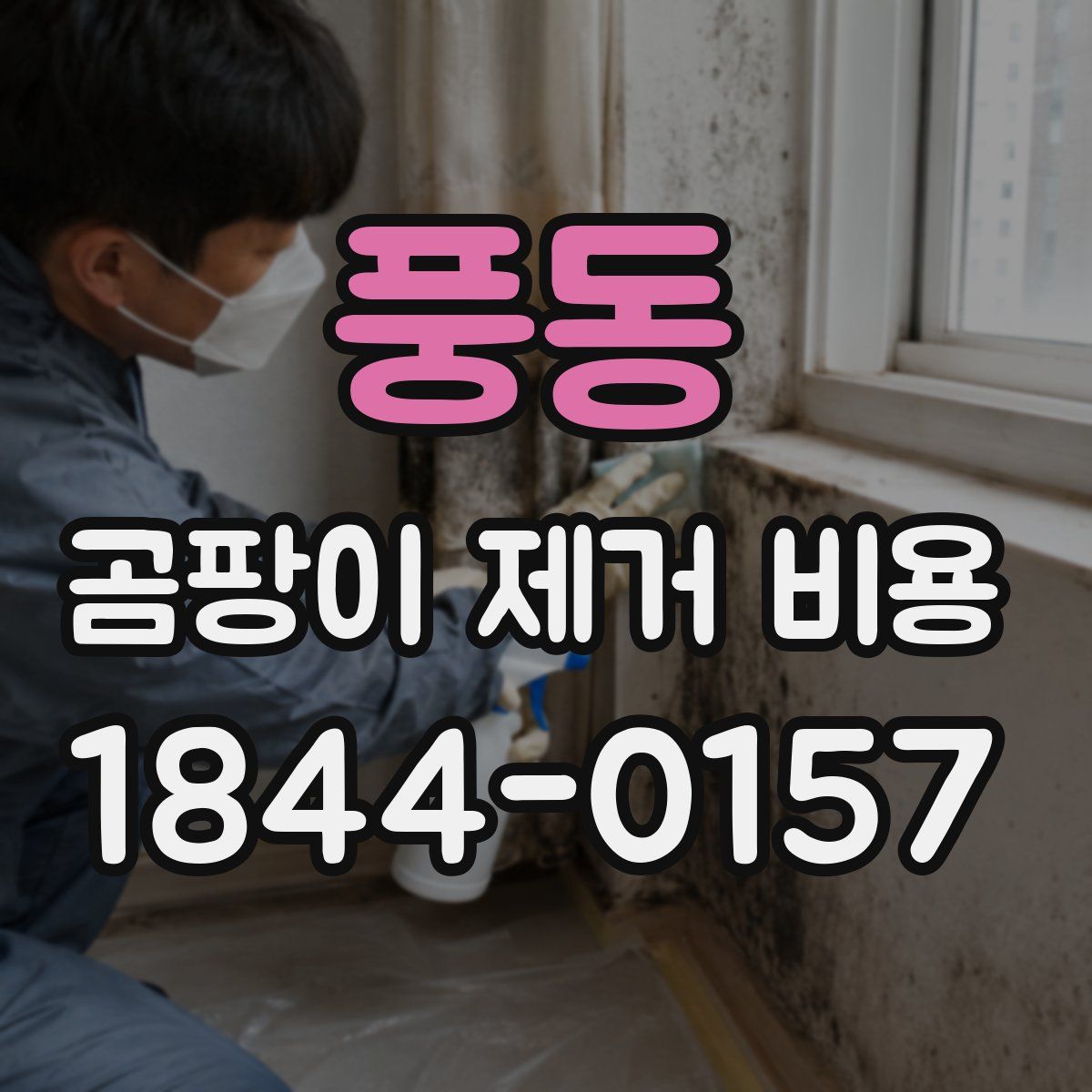 풍동 곰팡이 제거 비용