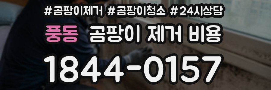 풍동 곰팡이 제거 비용