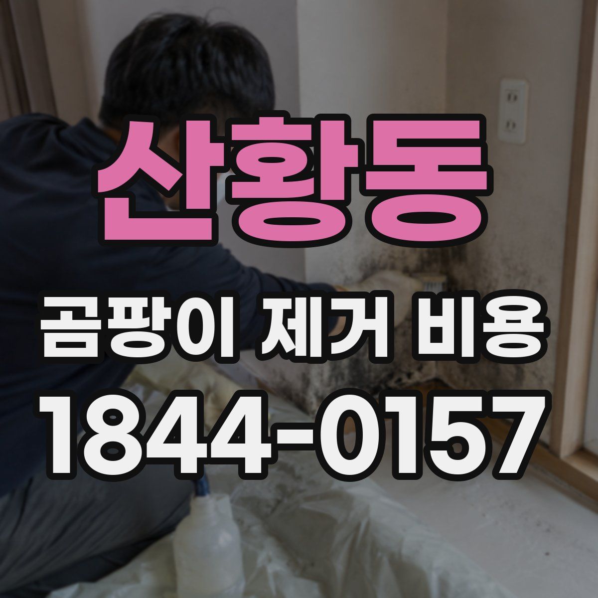 산황동 곰팡이 제거 비용