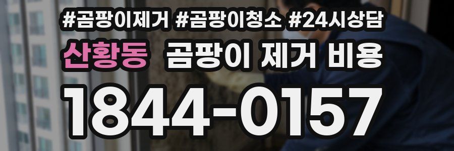산황동 곰팡이 제거 비용
