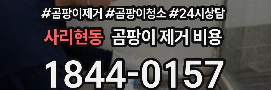 사리현동 곰팡이 제거 비용