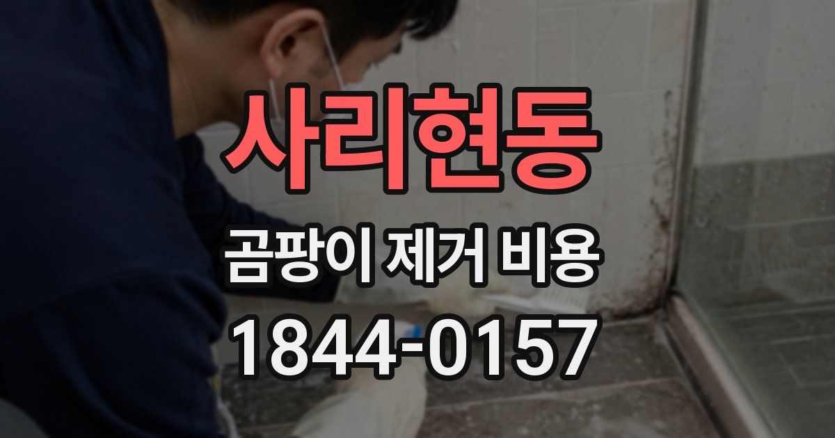 사리현동 곰팡이 제거 비용