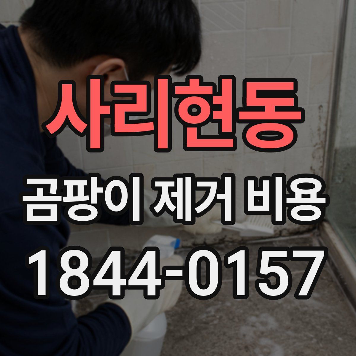 사리현동 곰팡이 제거 비용