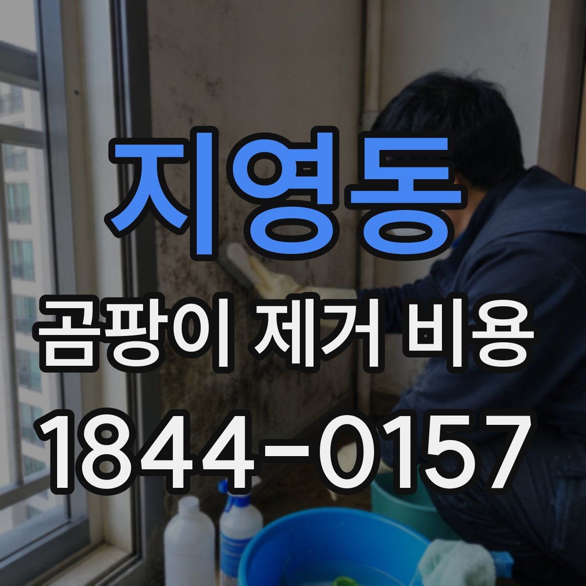 지영동 곰팡이 제거 비용