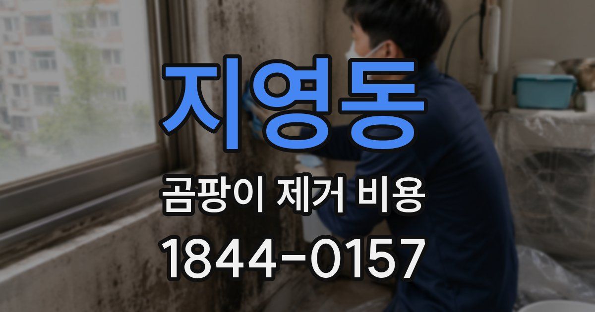 지영동 곰팡이 제거 비용