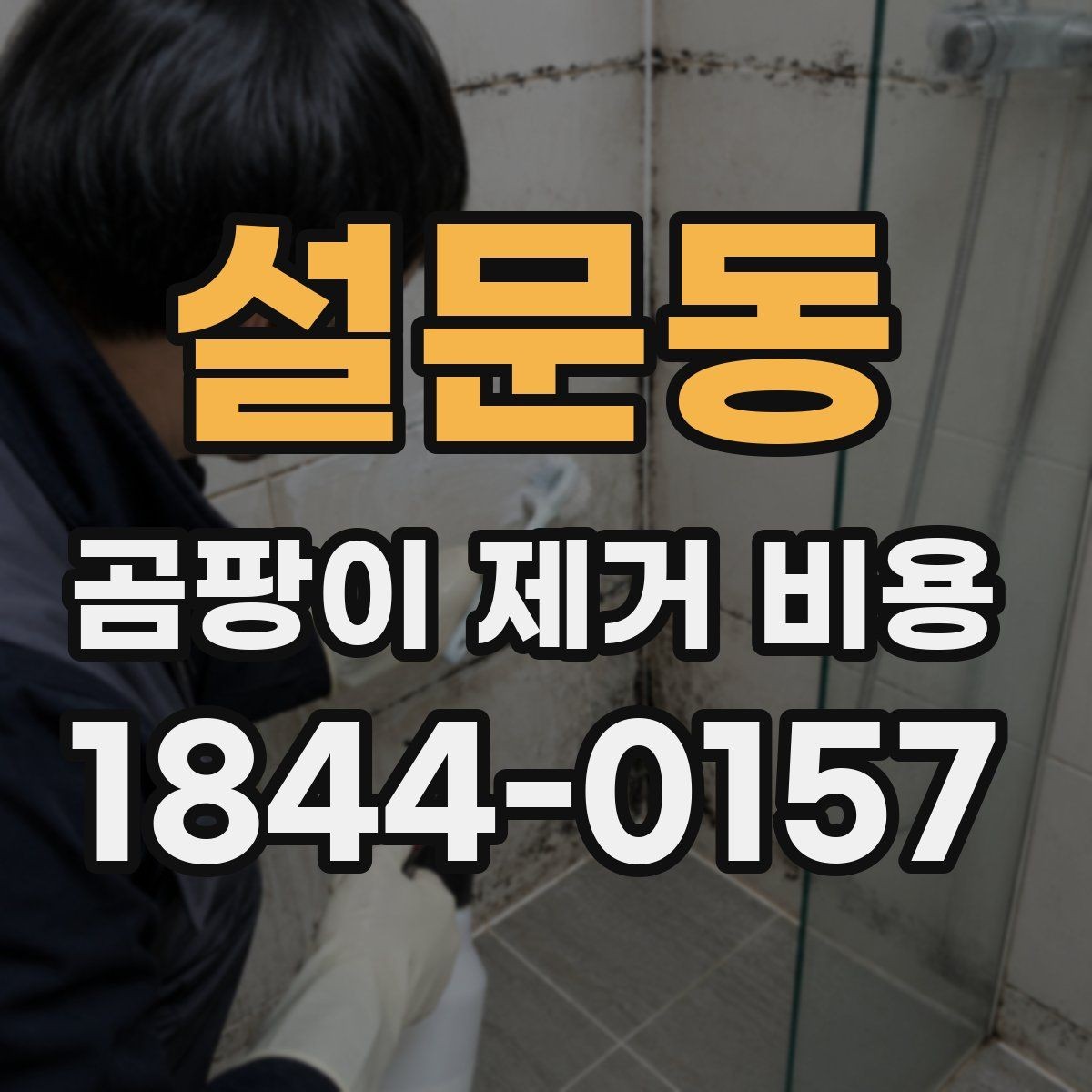 설문동 곰팡이 제거 비용 냄새 제거까지 맡기면 달라지는 항목