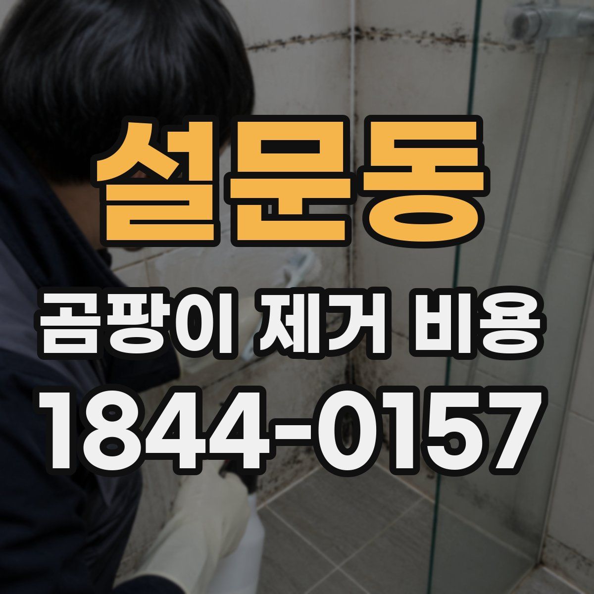 설문동 곰팡이 제거 비용