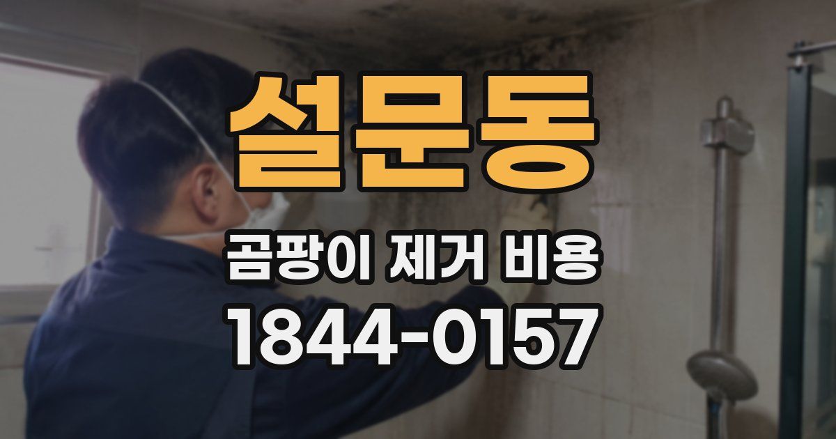 설문동 곰팡이 제거 비용