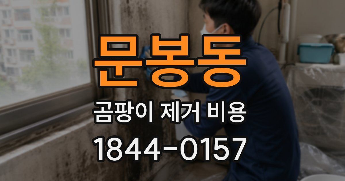문봉동 곰팡이 제거 비용