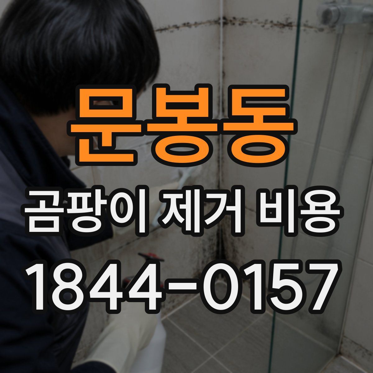 문봉동 곰팡이 제거 비용