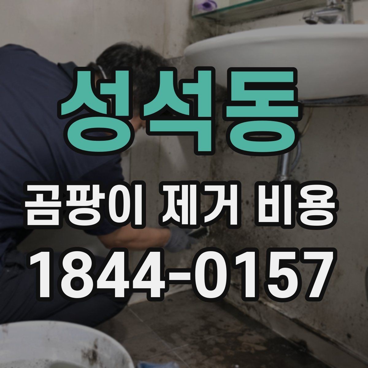 성석동 곰팡이 제거 비용 원룸과 아파트에서 차이가 나는 배경