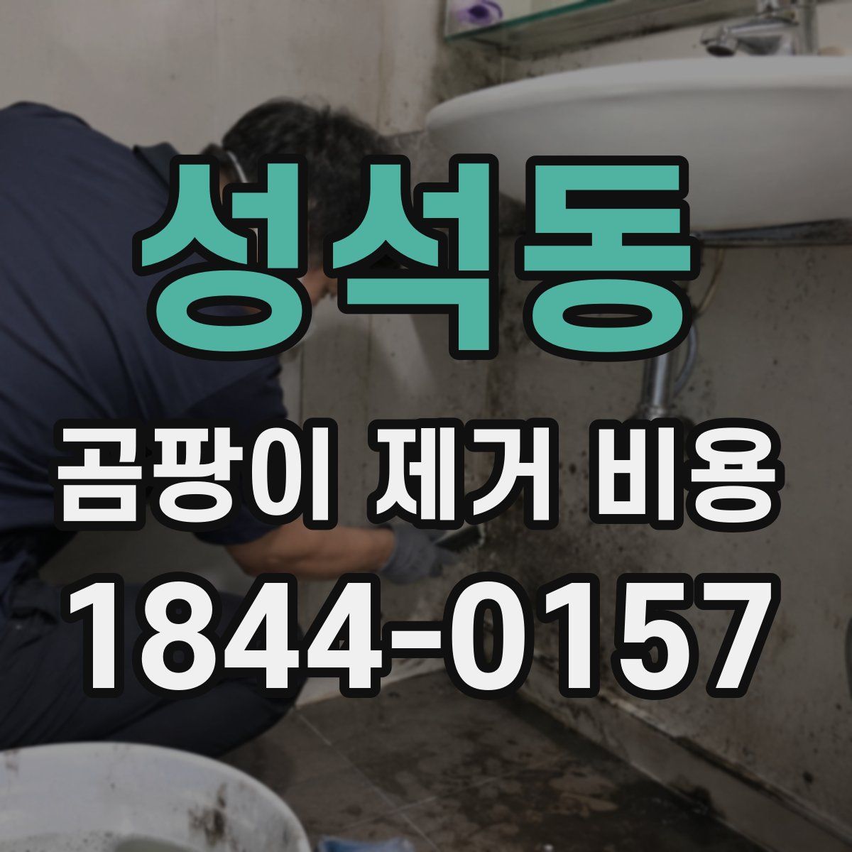 성석동 곰팡이 제거 비용