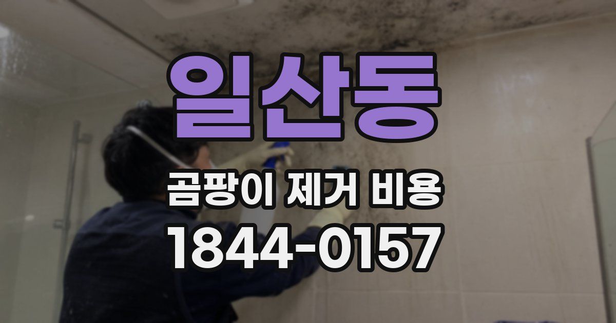 일산동 곰팡이 제거 비용