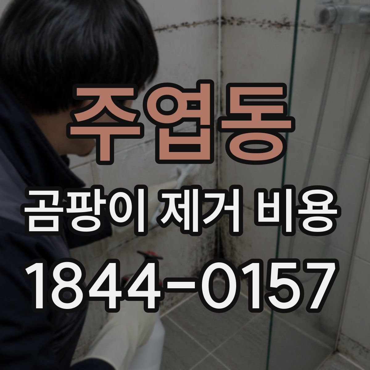 주엽동 곰팡이 제거 비용