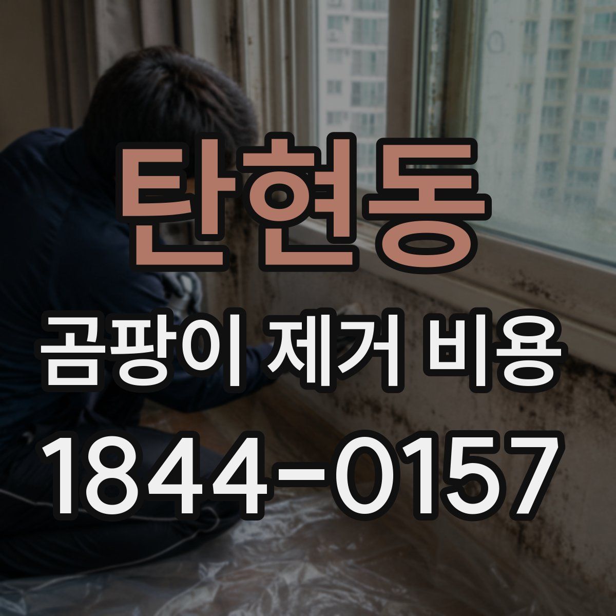 탄현동 곰팡이 제거 비용