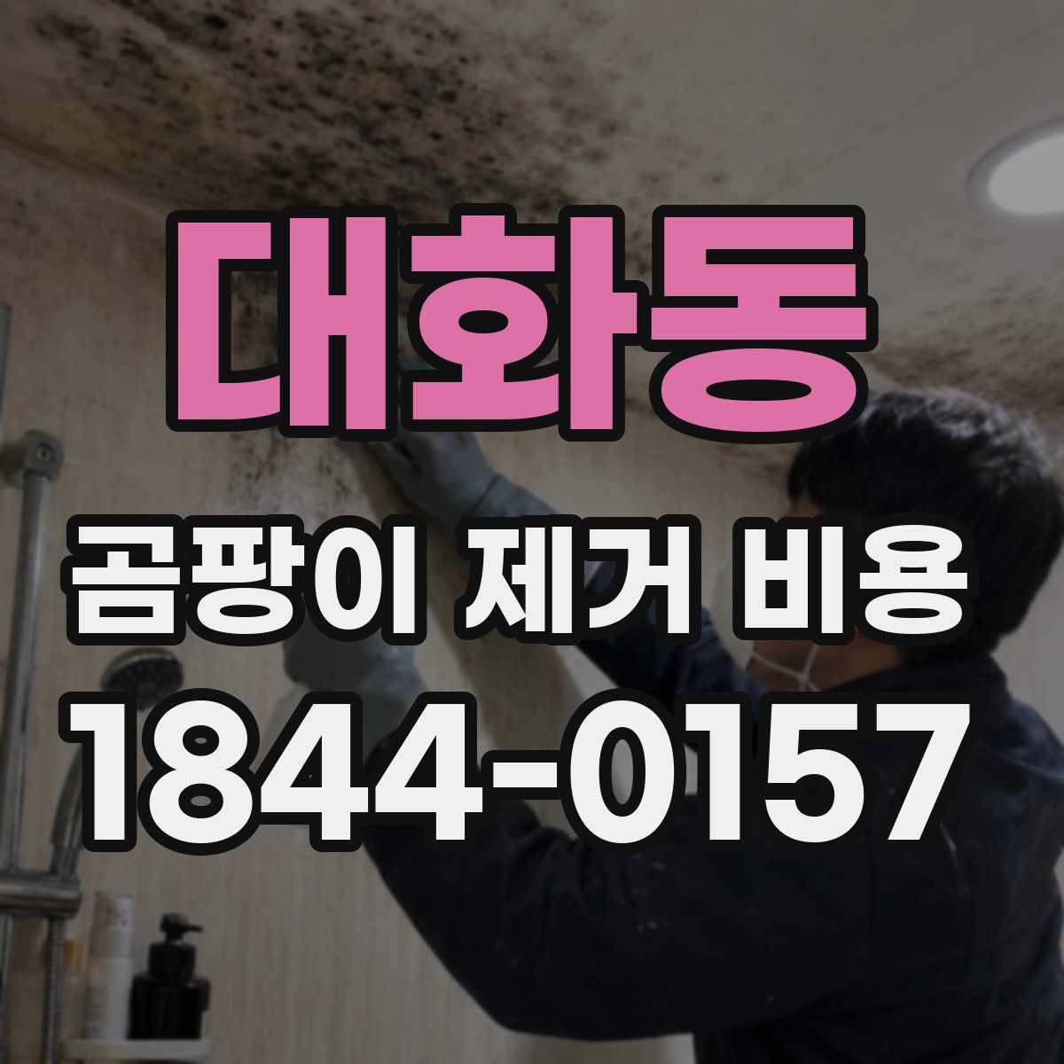 대화동 곰팡이 제거 비용