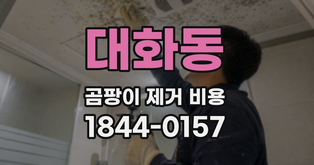 대화동 곰팡이 제거 비용