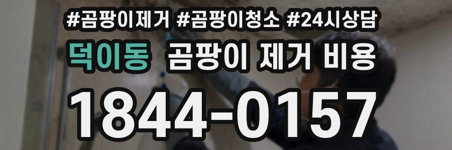 덕이동 곰팡이 제거 비용
