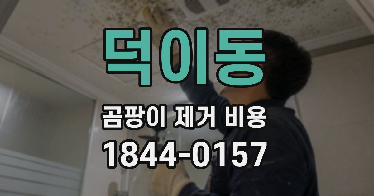 덕이동 곰팡이 제거 비용
