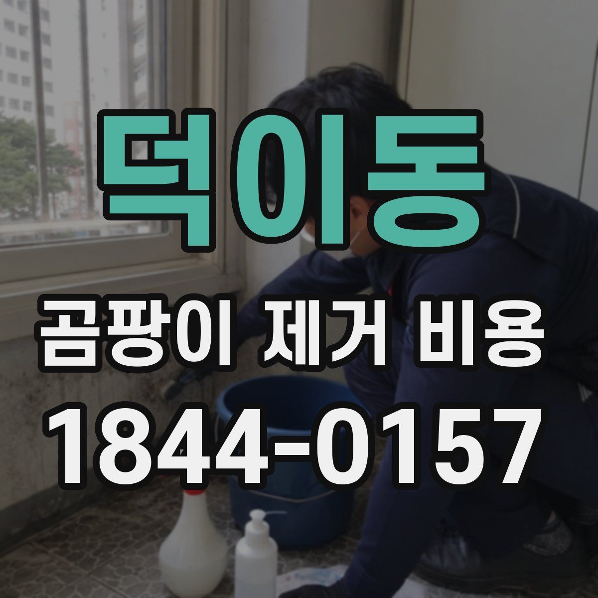 덕이동 곰팡이 제거 비용