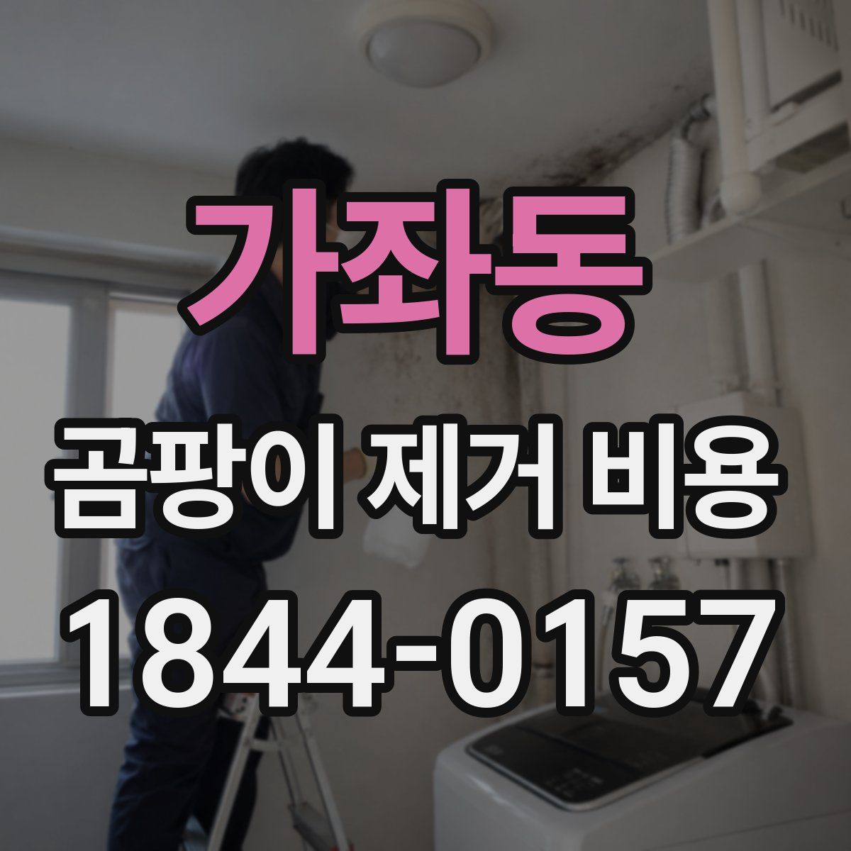가좌동 곰팡이 제거 비용