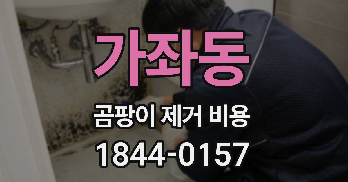 가좌동 곰팡이 제거 비용