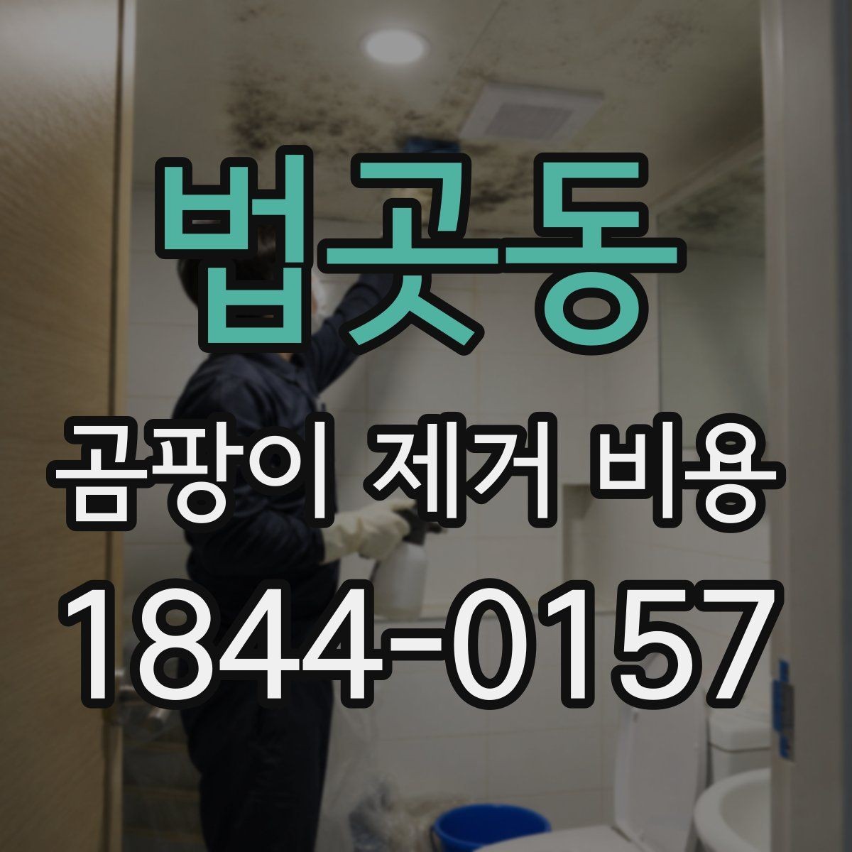 법곳동 곰팡이 제거 비용 보험 적용 가능성을 먼저 확인해야 하는 이유