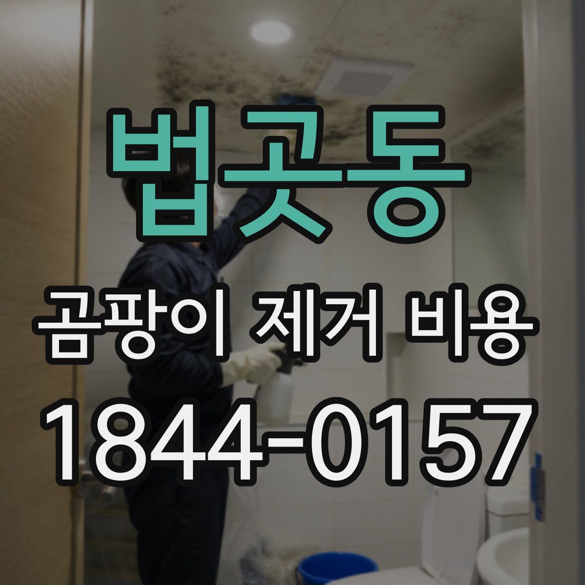 법곳동 곰팡이 제거 비용