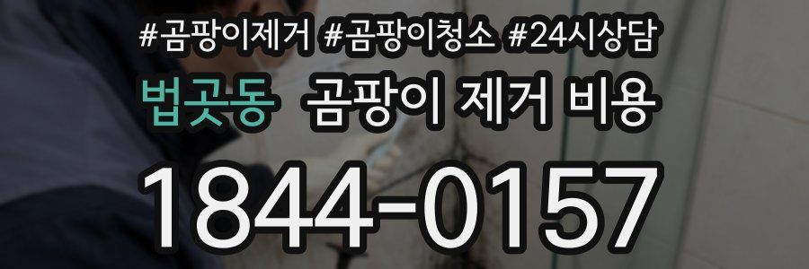 법곳동 곰팡이 제거 비용