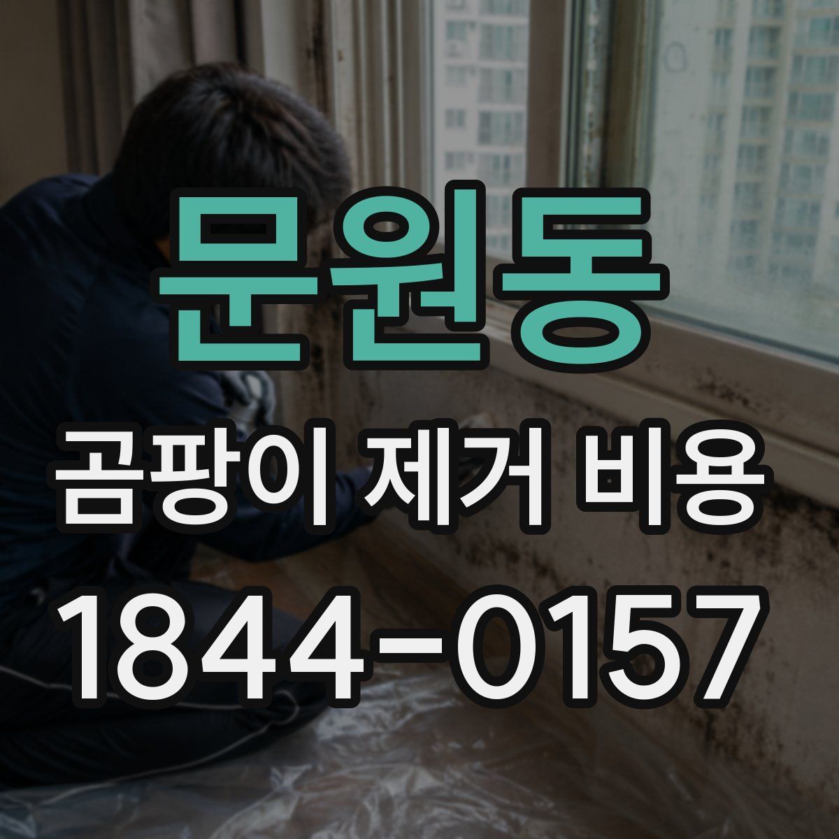문원동 곰팡이 제거 비용