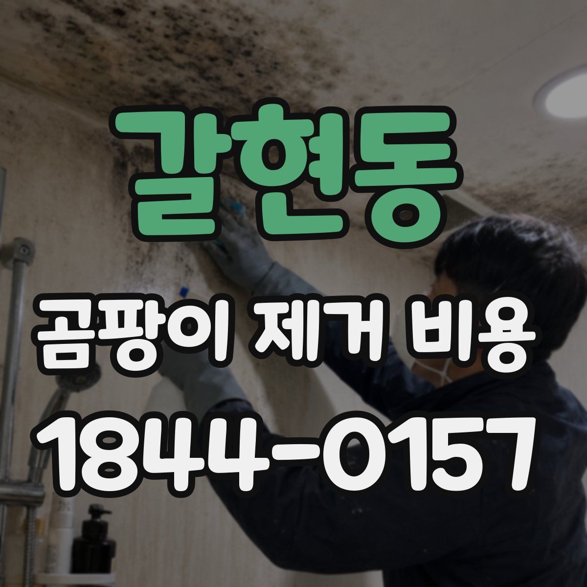 갈현동 곰팡이 제거 비용